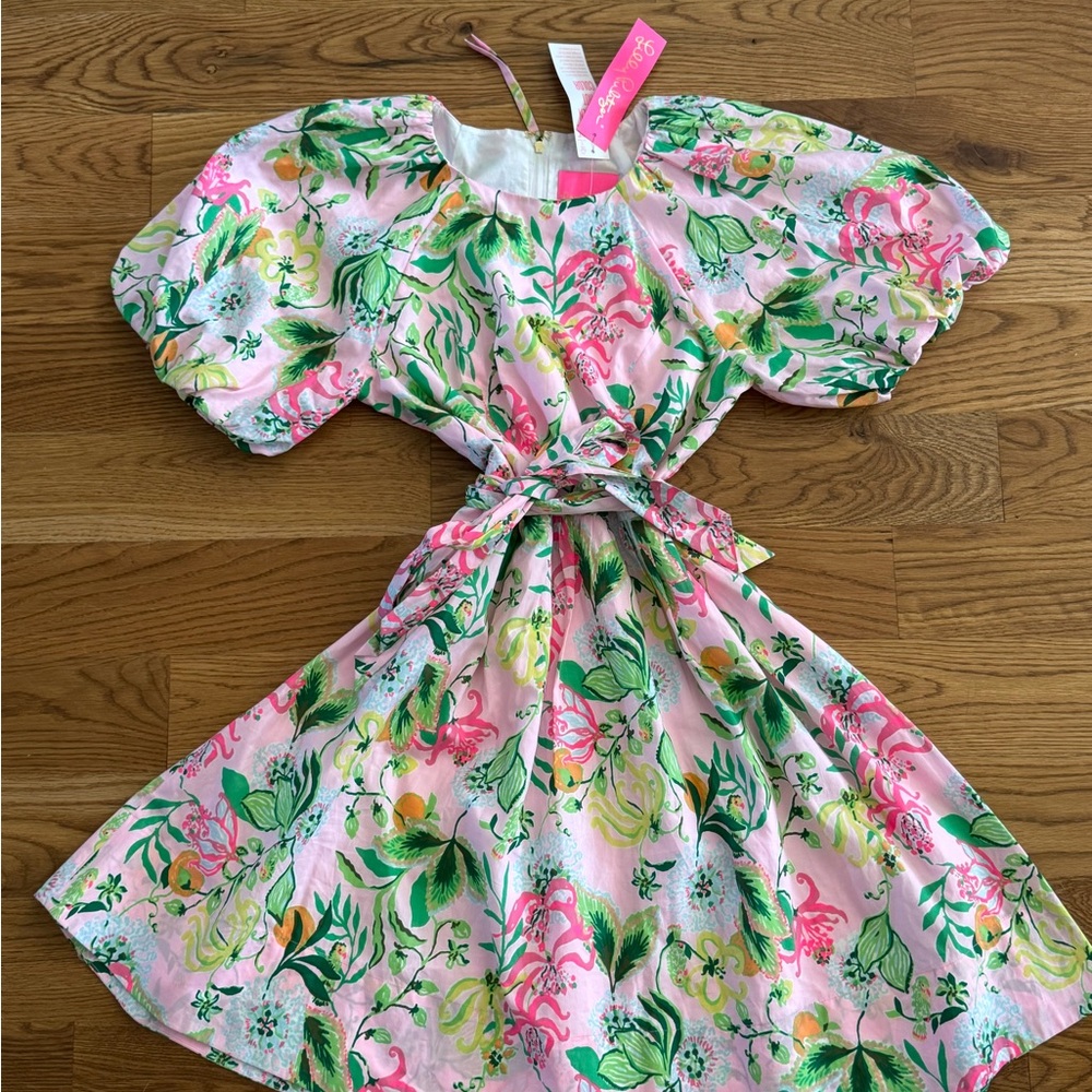 Lilly Pulitzer Pink and Green Floral Mini Dress
